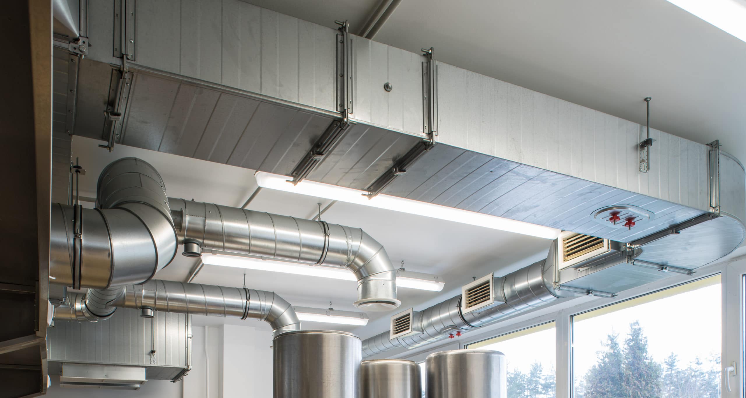 Heller modernisierter Wohnraum in einem Altbau